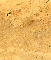 Travertino Oniciato Scuro Vetano