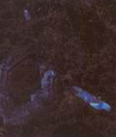 Arctic Blue Finlandia