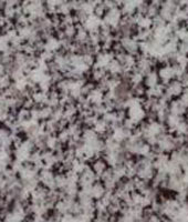 Grigo Aviero Portugalia