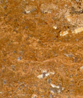 Travertino Scuro Noce