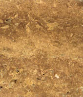 Travertino Stpeter Dark